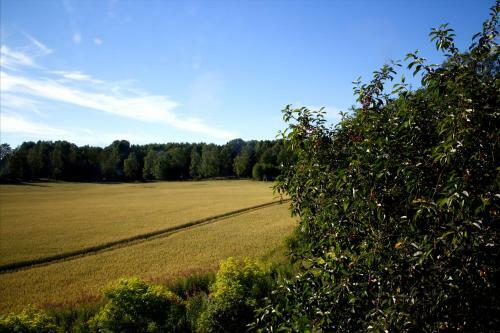 Hostal Pensionat Hog�rden