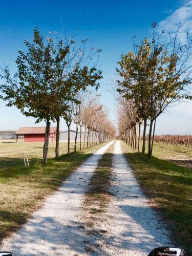 Agroturismo Podere Dell'angelo