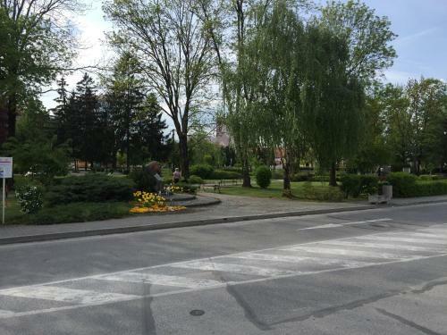 Hostal Penzi�n Stefarez New