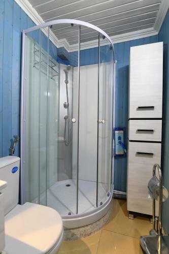 Hotel Aviator Sheremetyevo