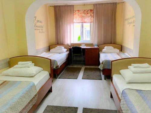 Hotel Aviator Sheremetyevo