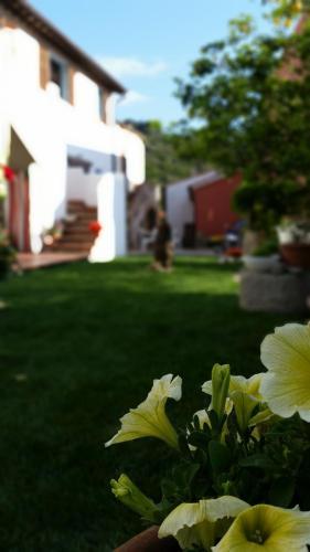Apartamento Appartamenti Dell'aia