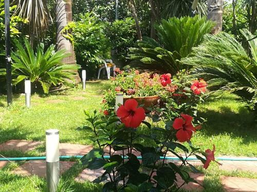 Bed & Breakfast Beatrice Home