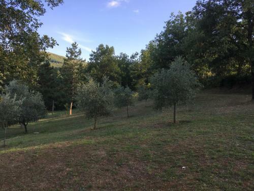 Villa Bacche Rosse