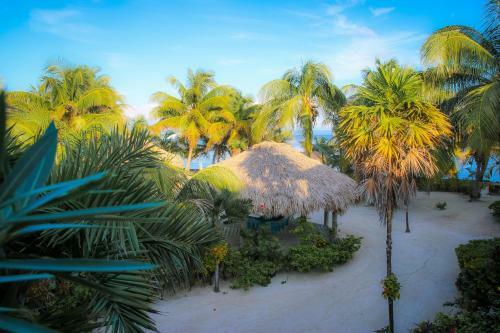 Hotel White Sands Cove