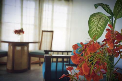 Hotel White Sands Cove