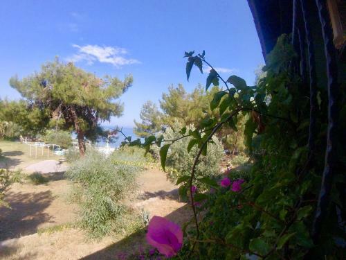 Rainbow Bay Ozdere Beach Hotel