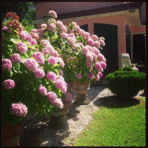 Casa La Culla