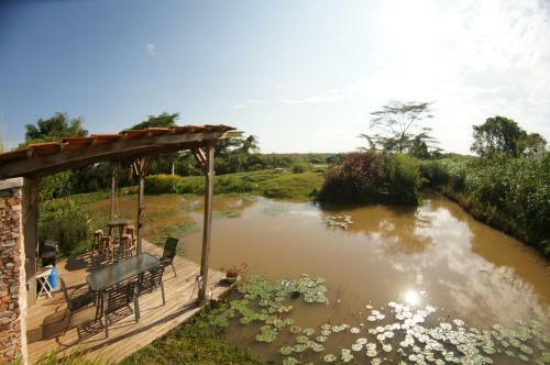 Apartamento Yellow Haven Lodge