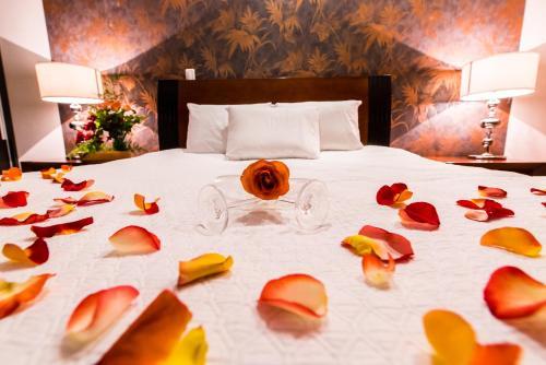Hotel Camino Plaza