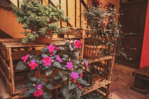 Albergue Colors House