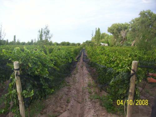 Don Pablo Posada Rural