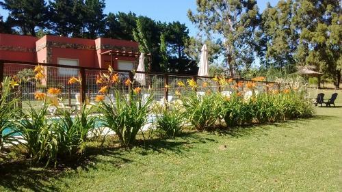 Apartamento Icalma De La Sierra
