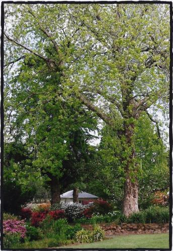 Lastingham Country Lodge