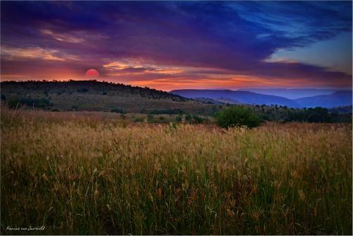 Maropeng Boutique Hotel