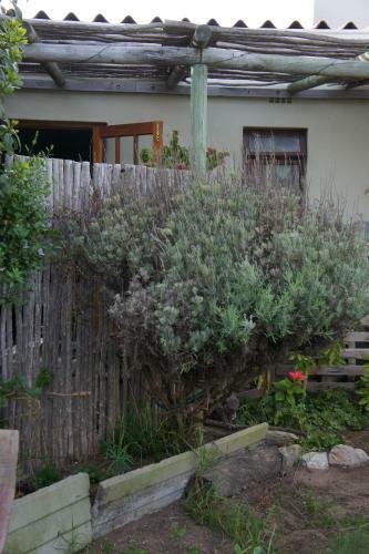 Albergue Cape Agulhas Backpackers