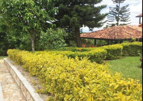 Hotel Cristo Rey Campestre