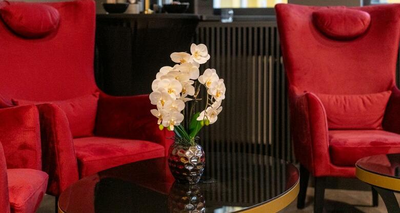Hotel Plaza Inn Salzburg City