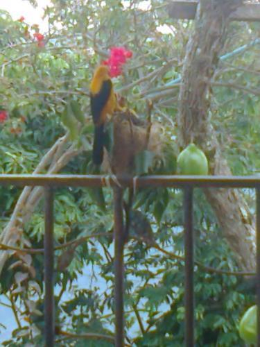 Agroturismo Caba�as Campestres