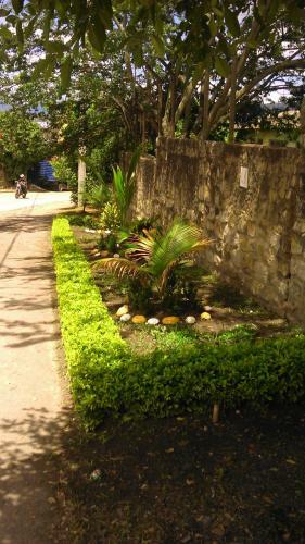 Hotel Tropico Real Mesitas