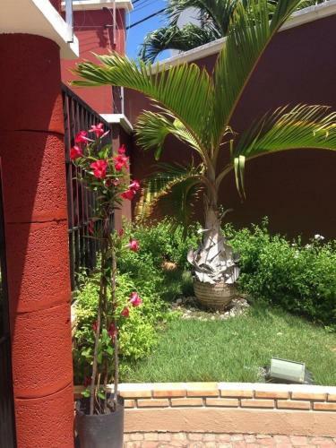 Hotel Bali Motel (adults Only)