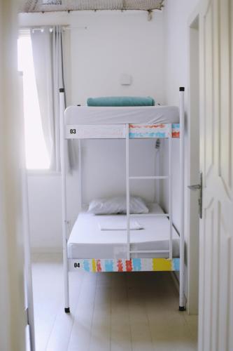 Albergue The Search House