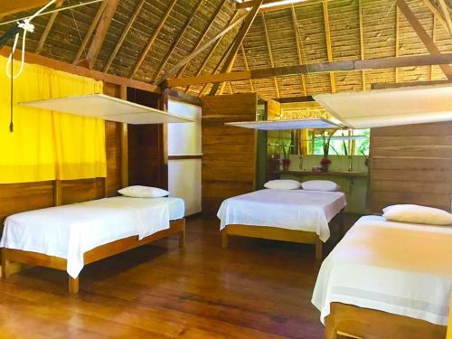 Lodge Collpas Tambopata Inn