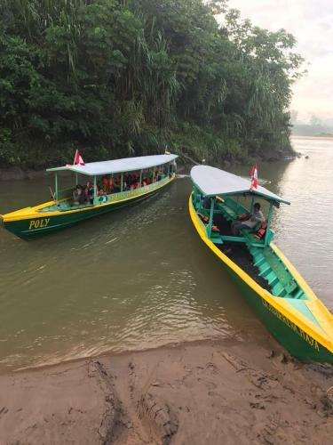 Lodge Collpas Tambopata Inn
