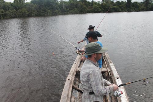 Lodge Tropical Adventures & Expeditions