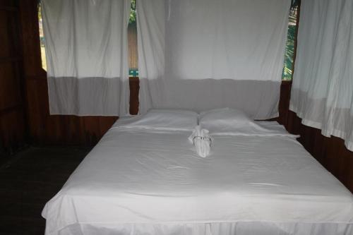 Lodge Tropical Adventures & Expeditions