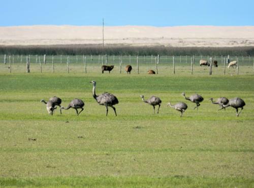 Agroturismo Aldeia Santuario Das Aves