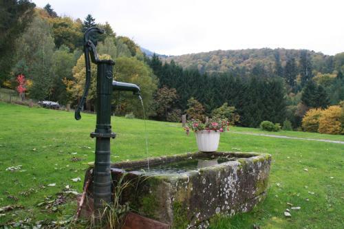 Hostal � L'or�e Du Bois