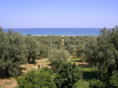Agroturismo Agriturismo Torre Rinusa