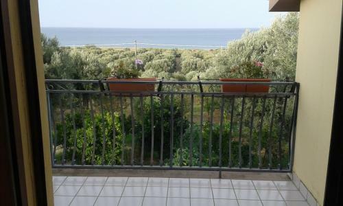 Agroturismo Agriturismo Torre Rinusa