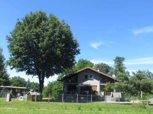 B&B Il Rovere