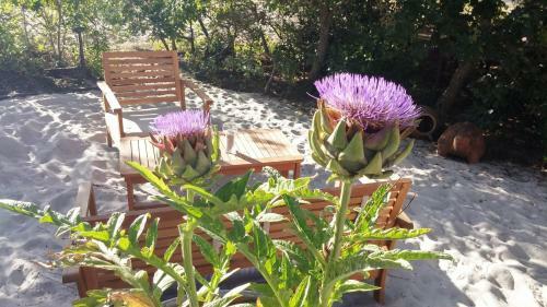 Bed & Breakfast Le Relais De La Praya