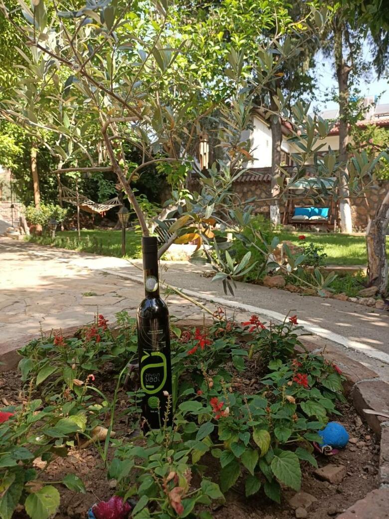 Albergue Hadrianus Hotel