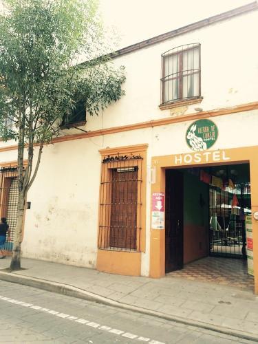 Hierba De Conejo Hostel