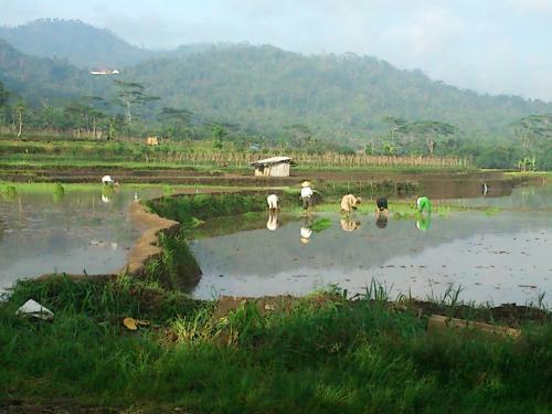 Griya Harja Homestay