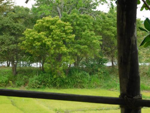 Hotel Galapita Eco Lodge