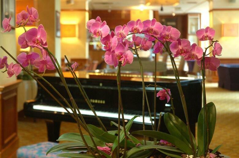 Hotel Danubius Regents Park