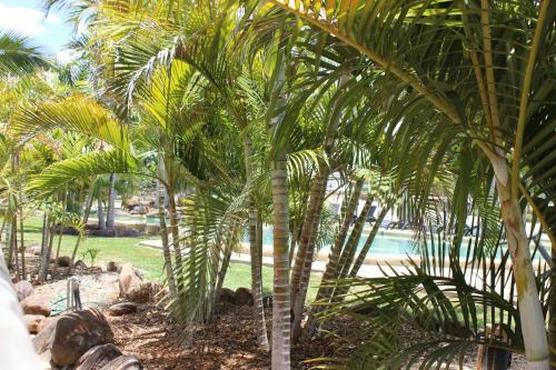 Big4 Aussie Outback Oasis Holiday Park
