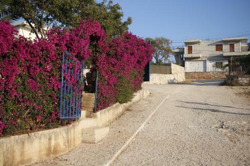 Apartments Vila Ardi