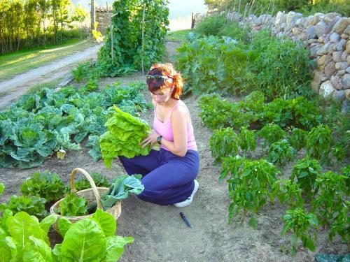 Cal Pesolet Eco Turisme Rural