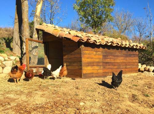 Cal Pesolet Eco Turisme Rural