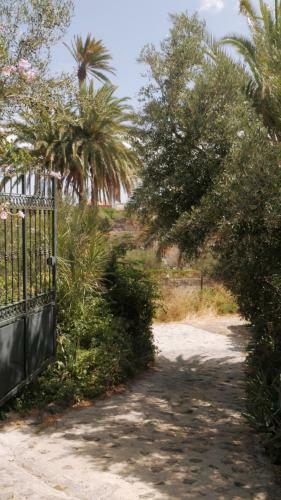 Casa Rural El Lir�n
