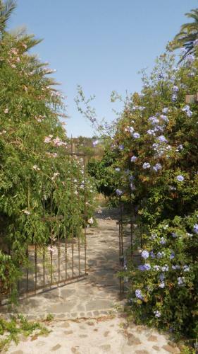 Casa Rural El Lir�n