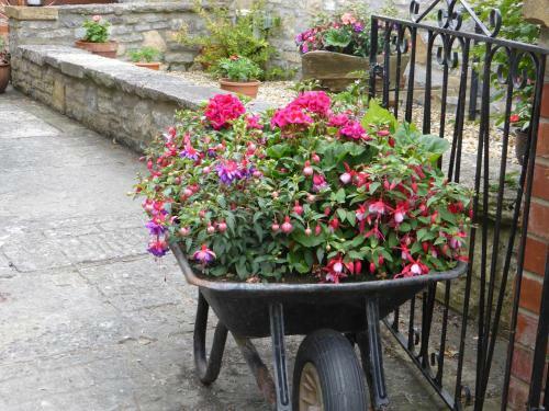 Bed & Breakfast Liongate House