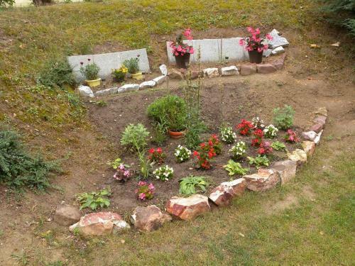 Apartment Balatonf�ldvar/balaton 18531