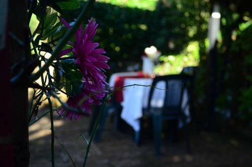 Bed & Breakfast Corte Garberia